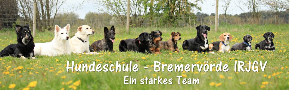 (c) Hundeschule-bremervoerde.de